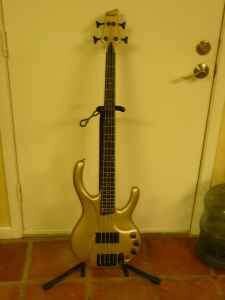 Ibanez Ergodyne Bass