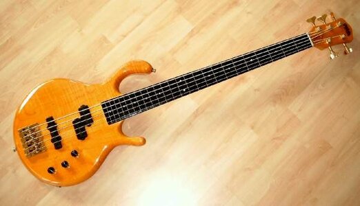 Pedulla Pentabuzz 5 String Fretless ( Ireland )