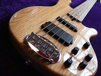 FS Lakland 55-02 and Peavey Millenium 5 USA