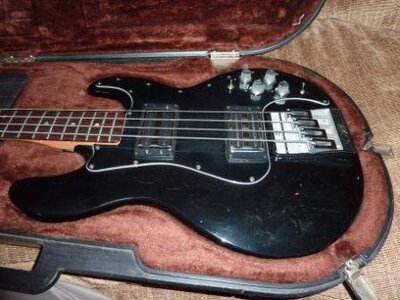 FS: Black / rosewood Peavey T-40 with OHSC