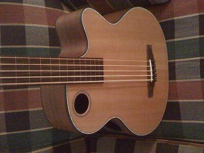 Boulder Creek BR3-N5F Fretless Acoustic Bass