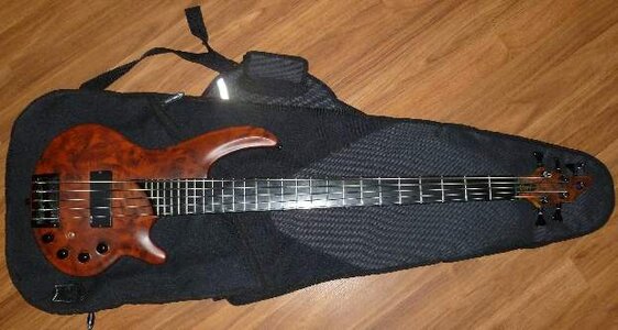 FS: Cort Curbow 5-string