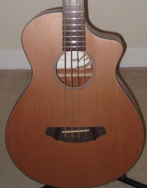 Breedlove Acoustic Bass - Passport B35