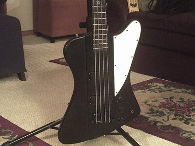 FS: Epiphone Thunderbird Goth