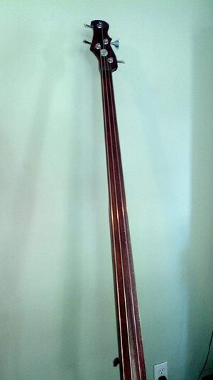 *SOLD* For Sale: Ergo 4 string EUB #100