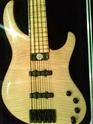 1999 Modulus Genesis 5 string bass