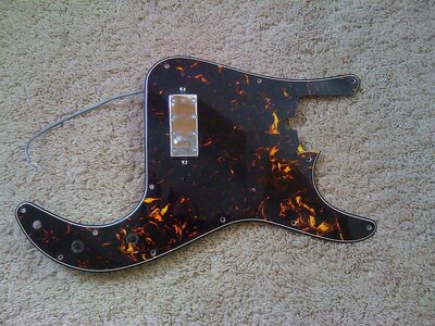 FT 70's P bass tort guard w/ Humbucker