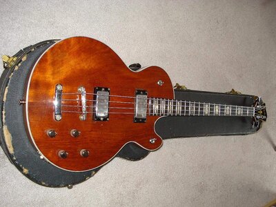 HAGSTROM SWEDE 1974 FS/FT