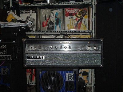 Ampeg V4B. Bay Area