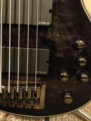 2012 Schecter Damien Elite 5-string