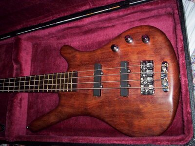 trade my warwick for a fretless