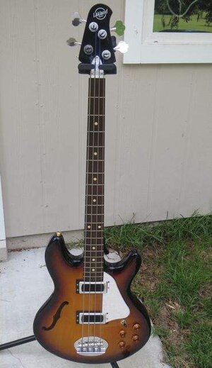 FS/FT Lakland Skyline Hollowbody