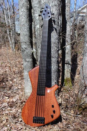 Price Drop - ACG Lined Fretless Skelf 5