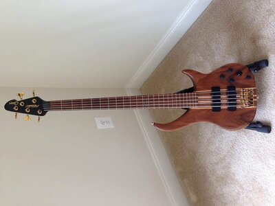 Peavey Cirrus 5 - almost mint