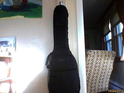 FS: Mooradian/Sadowsky gig bag-$100 shipped