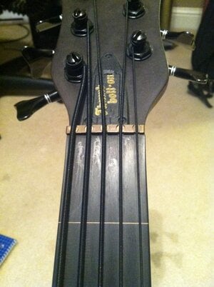 Warwick thumb 5 string lined fretless