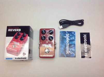 FS/FT:  TC Electronic FlashBack Delay and Hall of Fame Reverb