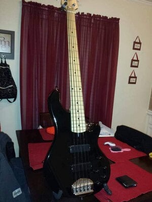 Fs/ft jet black lakland 55-01