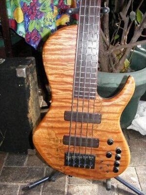 Stambaugh SC 5 string