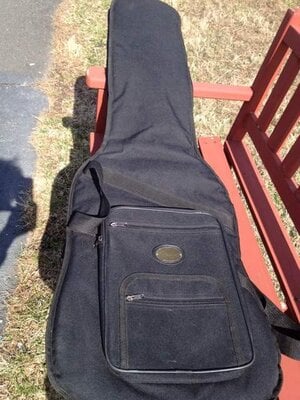 Fender gig bag