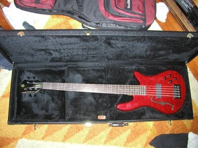 Mint Spector "Spectorcore 5" bass guitar