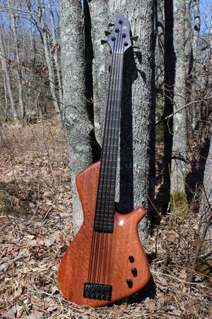 Price Drop ACG Fretless