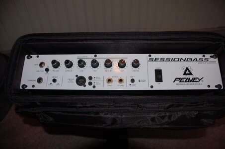 Peavey Sessionbass $165 shipped (last price drop)