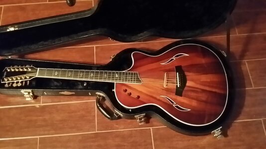 Taylor T-5 12 string w/ Koa top