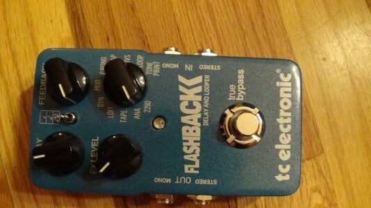 TC Electronic Flashback Delay/Looper.