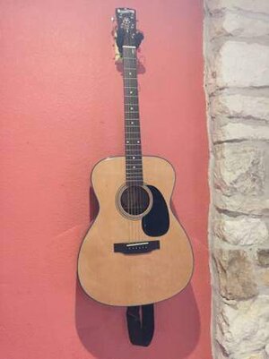 Blueridge BR-43 acoustic