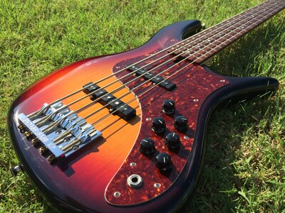 F Bass VF5 Alder & Rosewood RARE