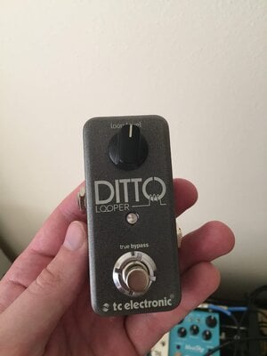 TC Electronic Ditto