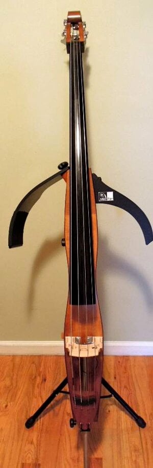 Alter Ego BASSO: hollow-body upright bass