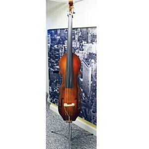 Eminence semi-acoustic electric upright double bass + pickup + stand + gig bag- LOCAL ONLY