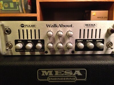 Mesa Boogie Walkabout Scout 15" Combo