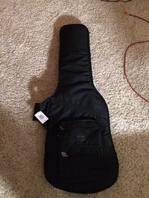 Gig Bag