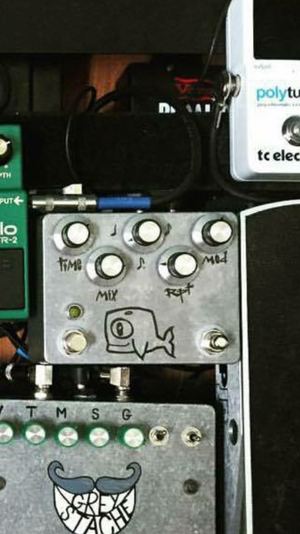 Hungry Robot Moby Dick Tap Tempo Analog Delay