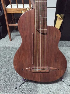 Rick Turner Renaissance Fretless 5