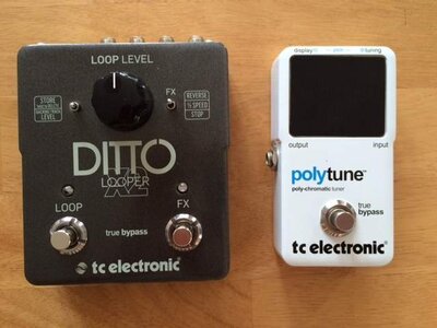 TC Ditto x2 and Polytune