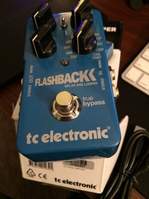 TC Electronic Flashback Delay and Looper