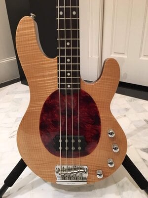 1996 MusicMan Stingray 20th Anniversary in Tiger Maple with Rosewood Board and Birdseye Neck