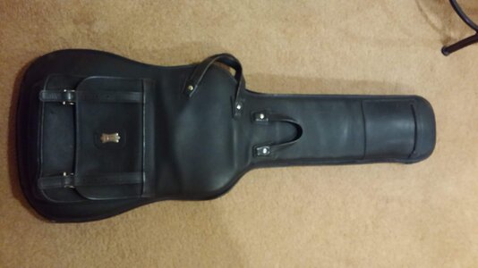 LEVY'S DARK BROWN LEATHER GIG BAG