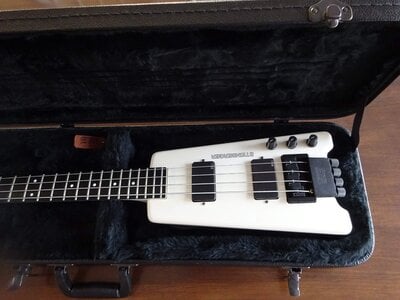 Three basses pedulla, SSD, Steinberger