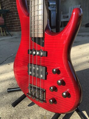 MTD (Michael Tobias Design) Heir 4 String