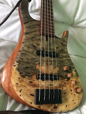 Prat buckeye burl 5