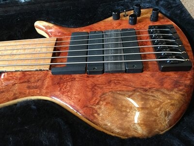 Roscoe Century Signature 6 Fretless