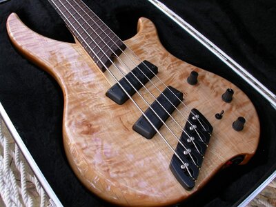 Dingwall AB1 five string bass w/ SKB case - Figured Top