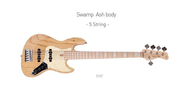 Sire V7 5-String, Ash and Maple