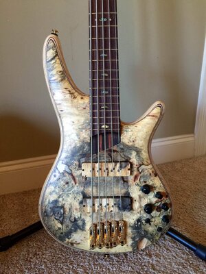 Ibanez SR5BBLTD Beautiful Buckeye Burl Top