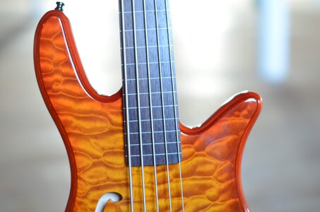 Beautiful Spector Fretless Hollowbody 5 string